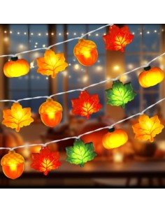 LQTSLFM 3 M 30 LED Guirnalda Luces Otoño, Luces Decorativa Calabaza Otoño | Guirnalda Otoño Luces, Cadena Luces Otoño, Luces de