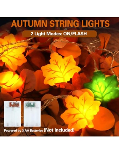 LQTSLFM 3 M 30 LED Guirnalda Luces Otoño, Luces Decorativa Calabaza Otoño | Guirnalda Otoño Luces, Cadena Luces Otoño, Luces de