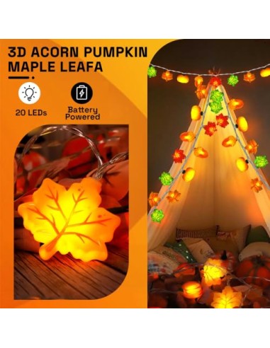 LQTSLFM 3 M 30 LED Guirnalda Luces Otoño, Luces Decorativa Calabaza Otoño | Guirnalda Otoño Luces, Cadena Luces Otoño, Luces de