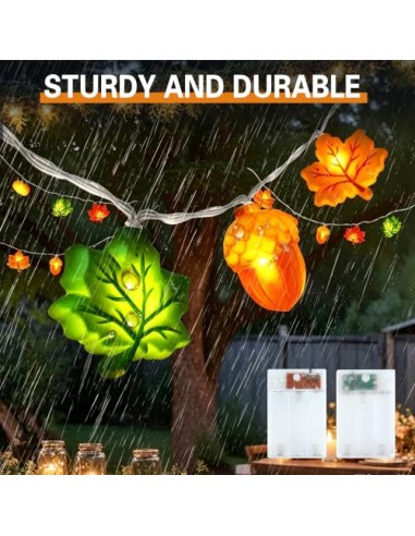 LQTSLFM 3 M 30 LED Guirnalda Luces Otoño, Luces Decorativa Calabaza Otoño | Guirnalda Otoño Luces, Cadena Luces Otoño, Luces de