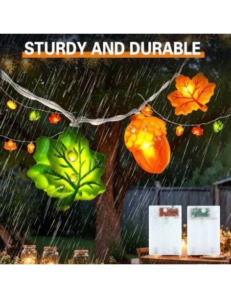 LQTSLFM 3 M 30 LED Guirnalda Luces Otoño, Luces Decorativa Calabaza Otoño | Guirnalda Otoño Luces, Cadena Luces Otoño, Luces de
