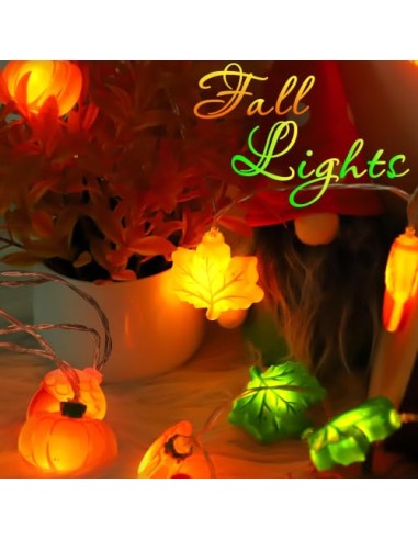 LQTSLFM 3 M 30 LED Guirnalda Luces Otoño, Luces Decorativa Calabaza Otoño | Guirnalda Otoño Luces, Cadena Luces Otoño, Luces de