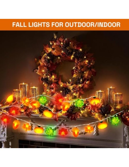LQTSLFM 3 M 30 LED Guirnalda Luces Otoño, Luces Decorativa Calabaza Otoño | Guirnalda Otoño Luces, Cadena Luces Otoño, Luces de