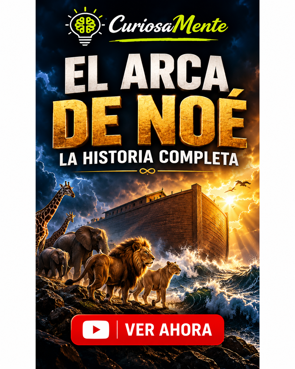 https://compramuybarato.com/modules/iqithtmlandbanners/uploads/images/6ad8dc9cae6de.jpg